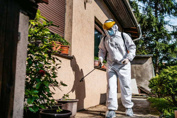 Best Local Pest Control Services  in Moodus, CT