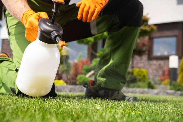 Wasp Removal Services in Moodus, CT