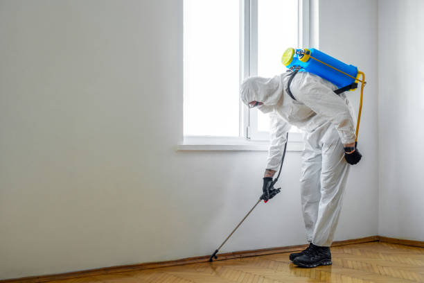 Flea Control Services in Moodus, CT