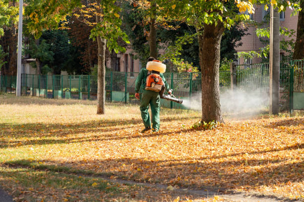 Best Best Pest Control Companies  in Moodus, CT